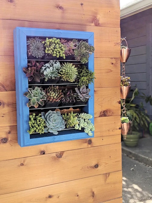 Creative Ways to Display Plants Without Pots 