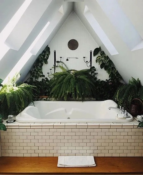  Bathroom Plants Arrangement 