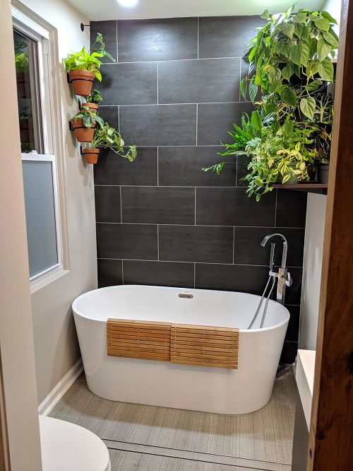 Plants in Bathroom
